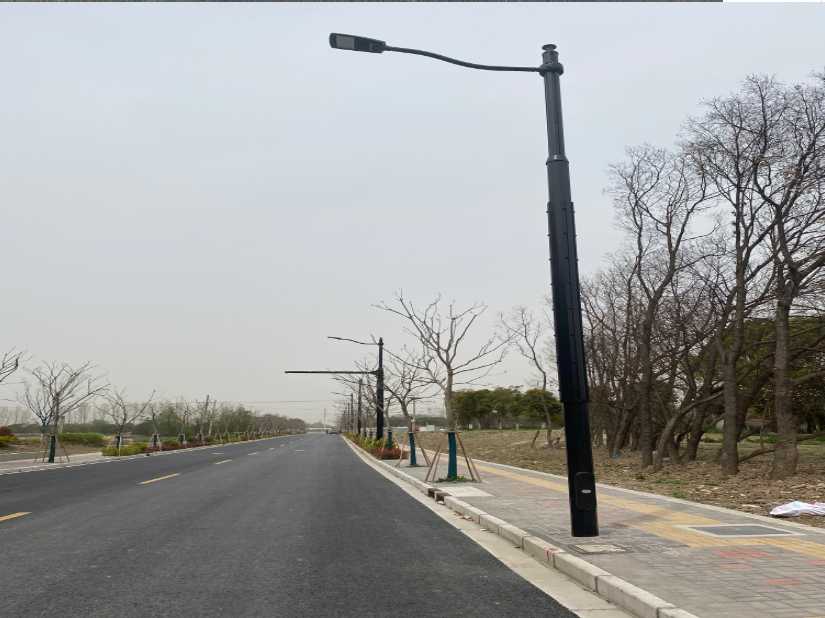 阳谷县上海综合杆 太阳能路灯工程